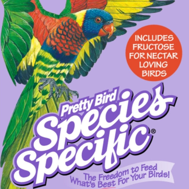 Pretty Bird Species Select Lorikeet - Lory