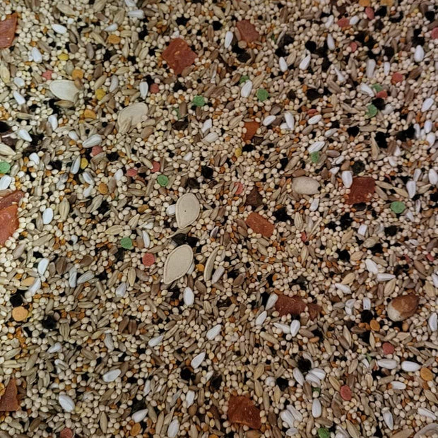 4 the Birds Premium Small Hookbill