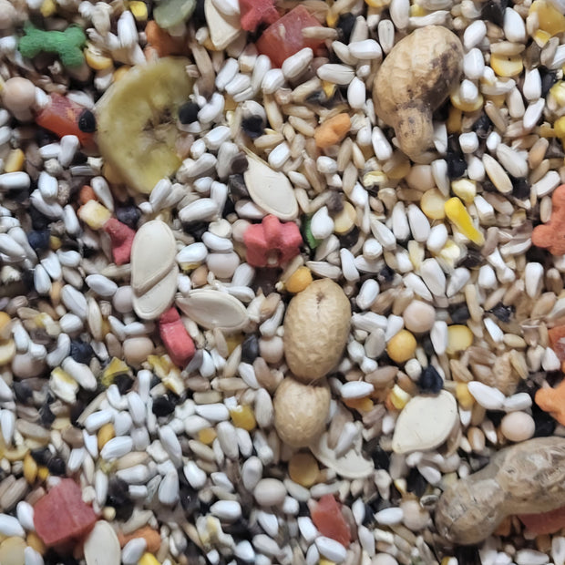 4 the Birds Large Hookbill