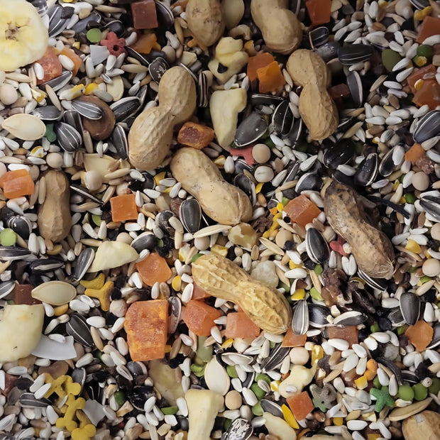 4 the Birds Premium Plus