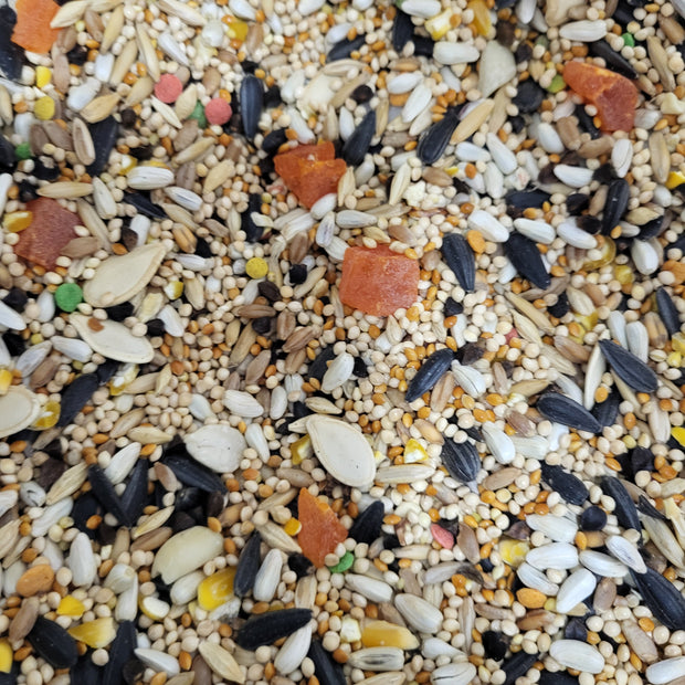 4 the Birds Premium Small Hookbill with Sunflower