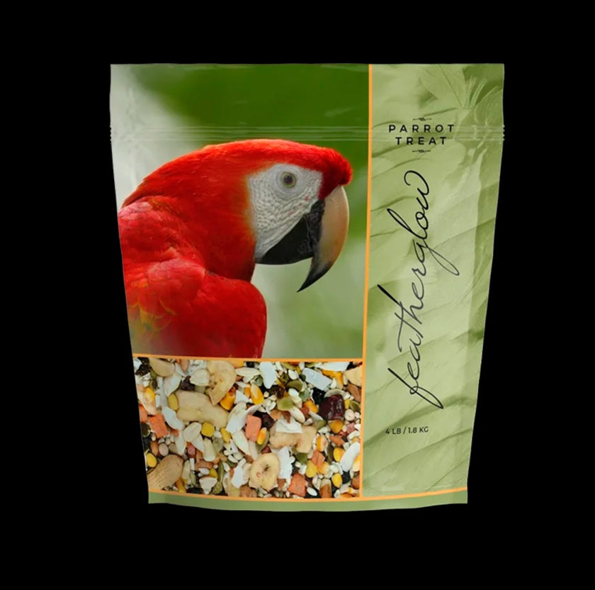 Featherglow Parrot with Treat