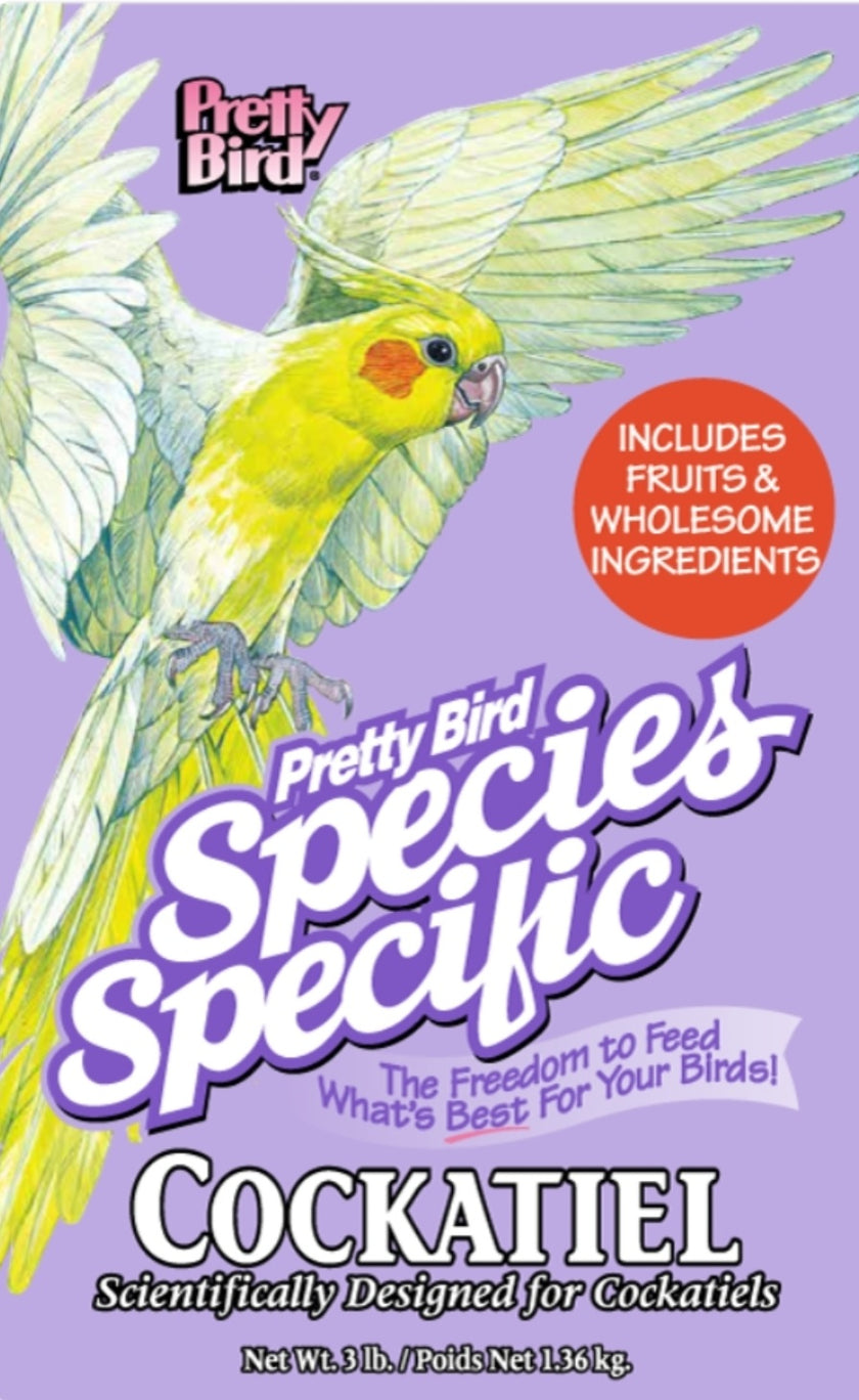 Pretty Bird Species Select Cockatiel
