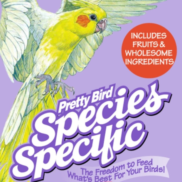 Pretty Bird Species Select Cockatiel