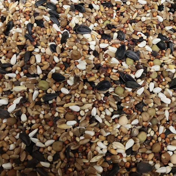 4 the Birds Premium Sprout Mix