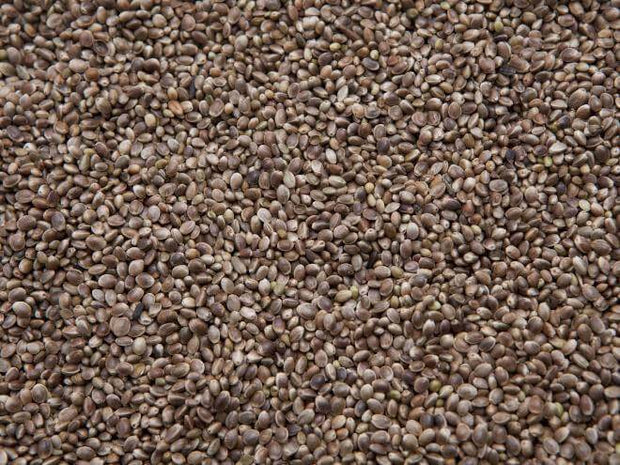 4 the Birds Premium Hemp Seed