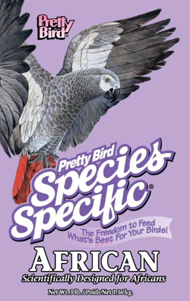 Pretty Bird Species Select African Grey