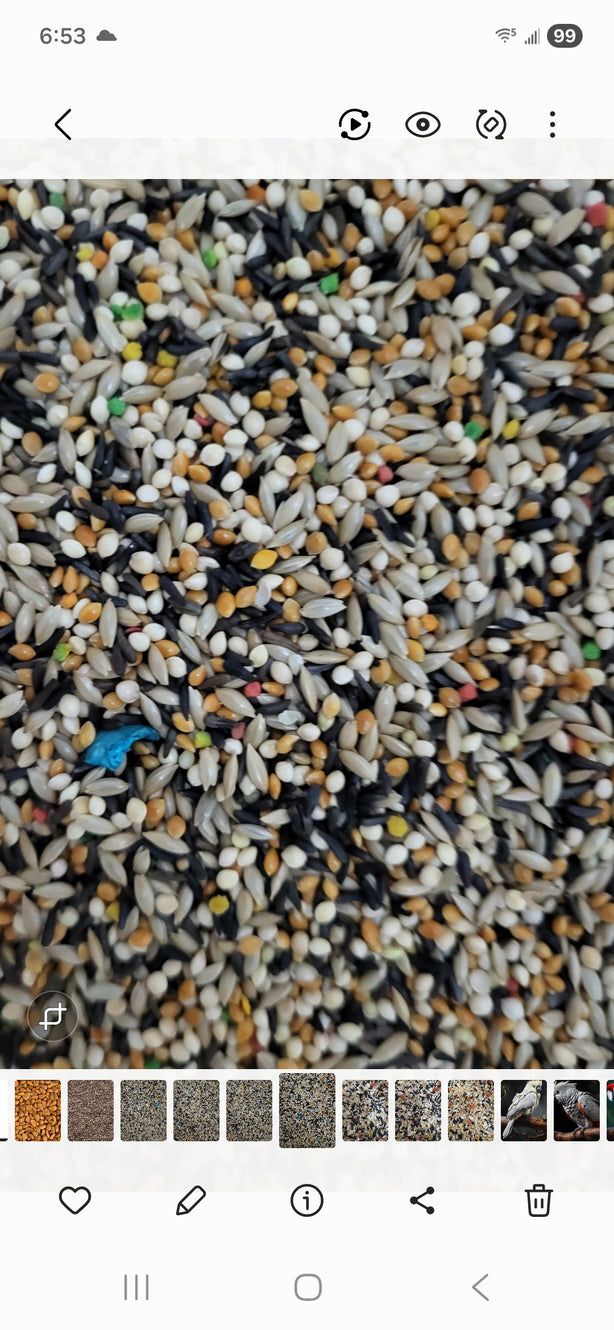 4 the Birds Premium Finch