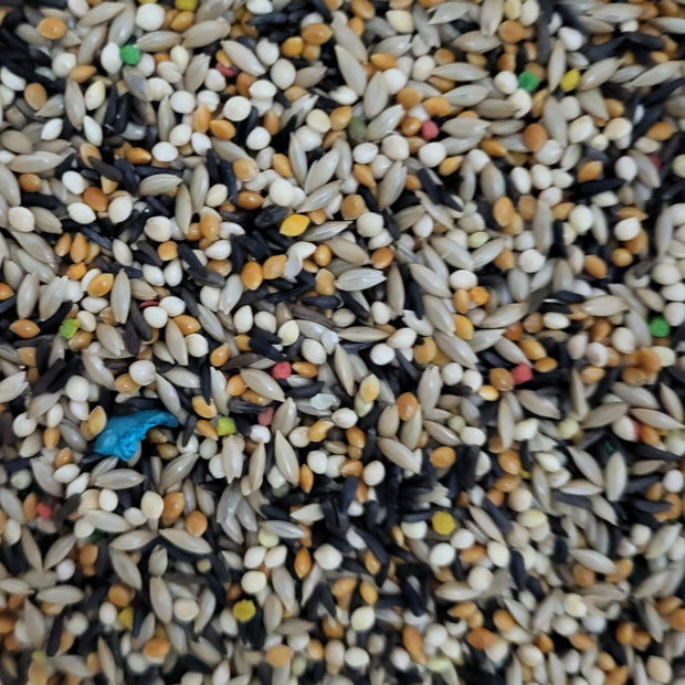 4 the Birds Premium Finch