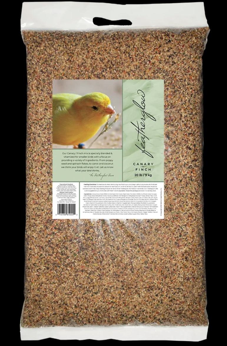 Featherglow Canary Finch