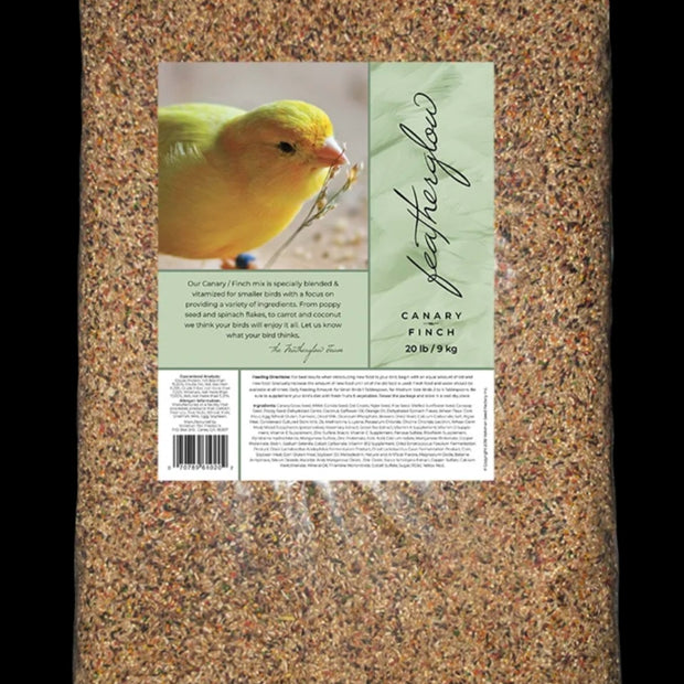 Featherglow Canary Finch