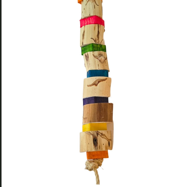 Jungle Toys Koala