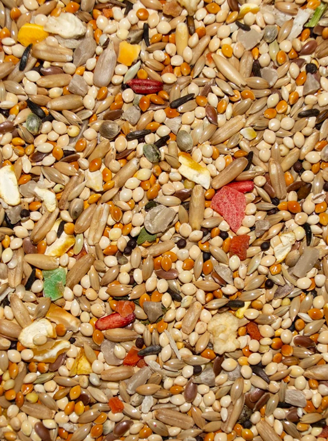 Volkman Avian Science Super Parakeet