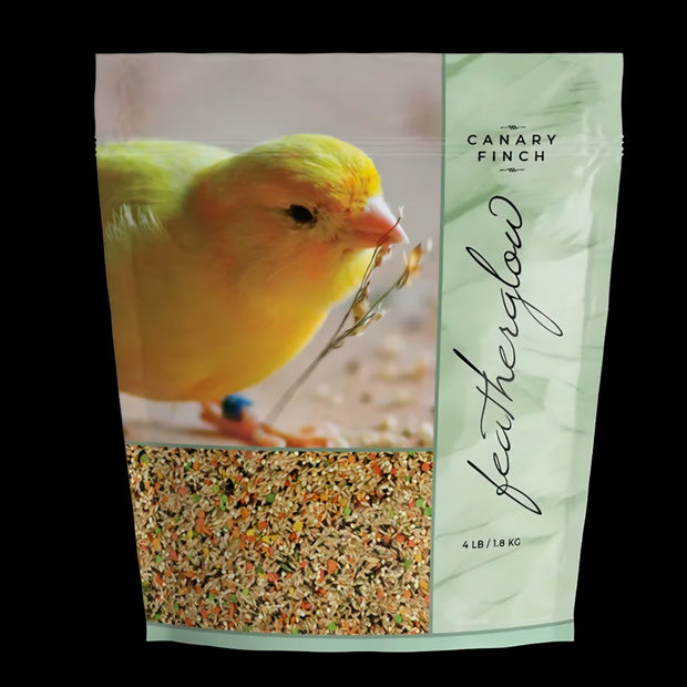 Featherglow Canary Finch