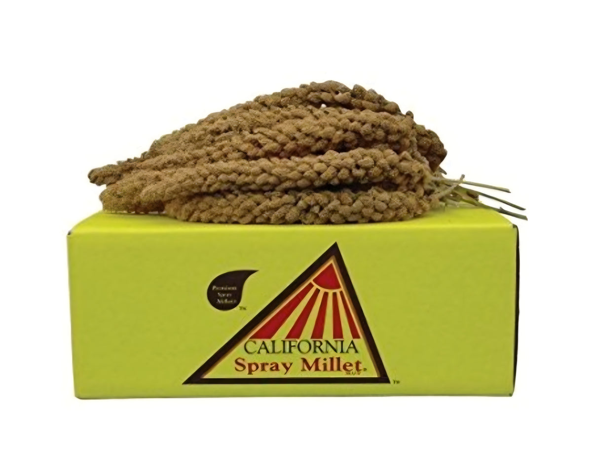 California Golden Millet