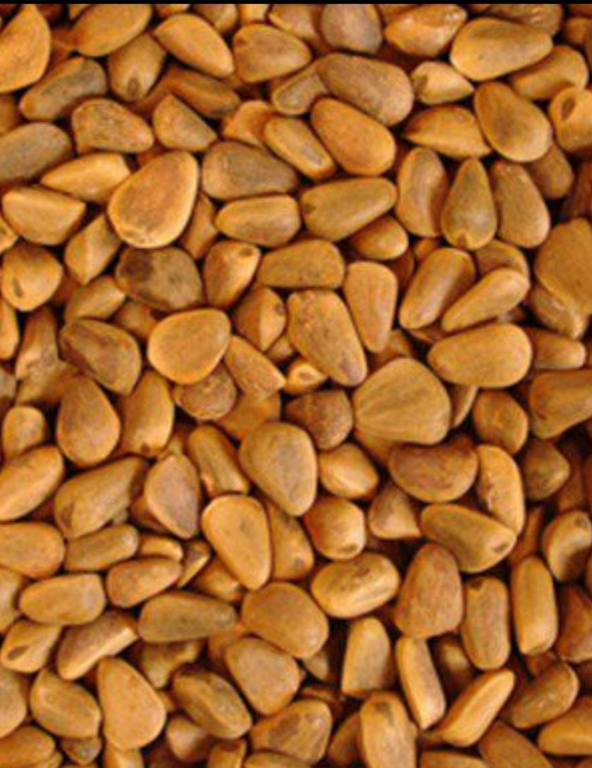 4 the Birds Premium Pinenuts