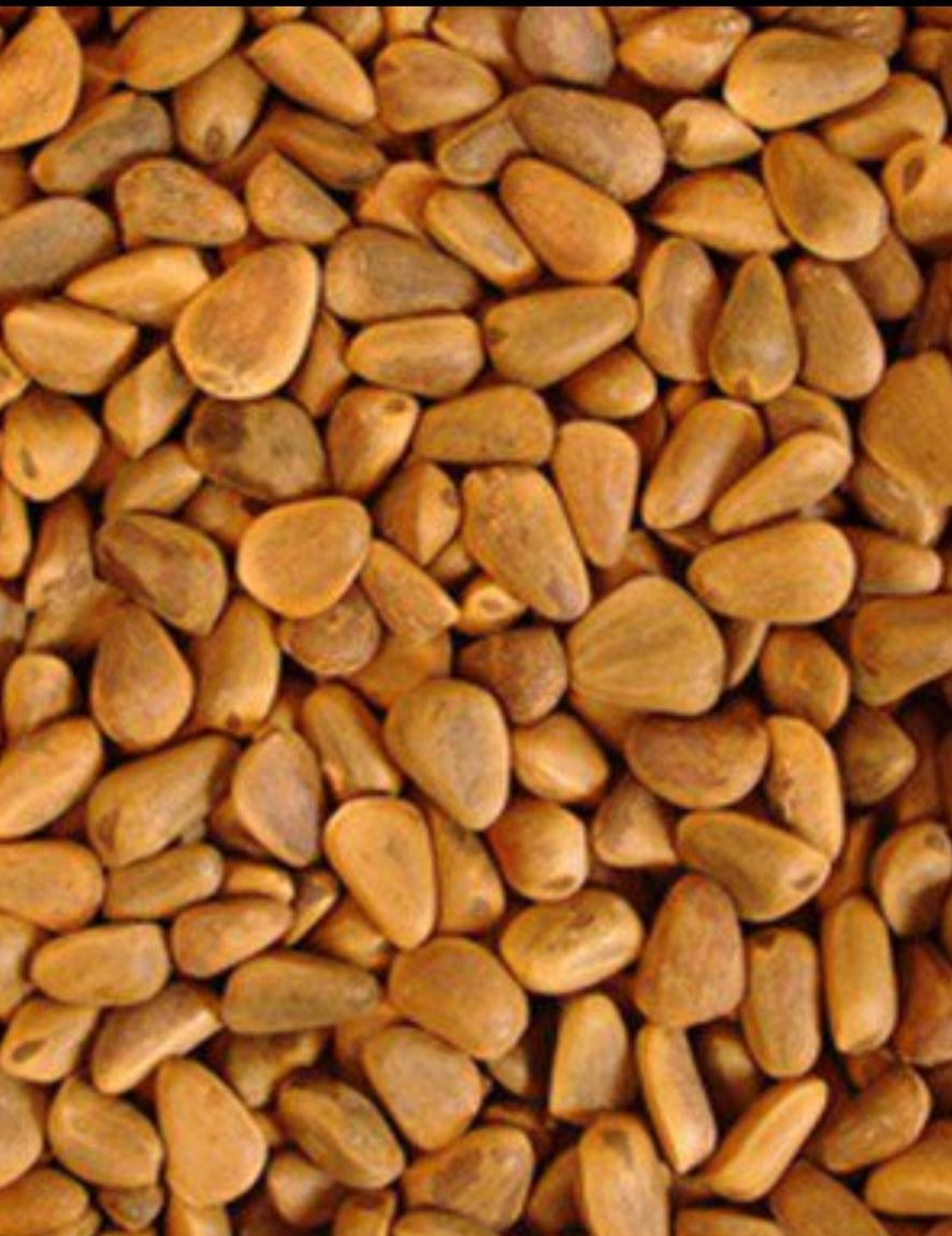 4 the Birds Premium Pinenuts