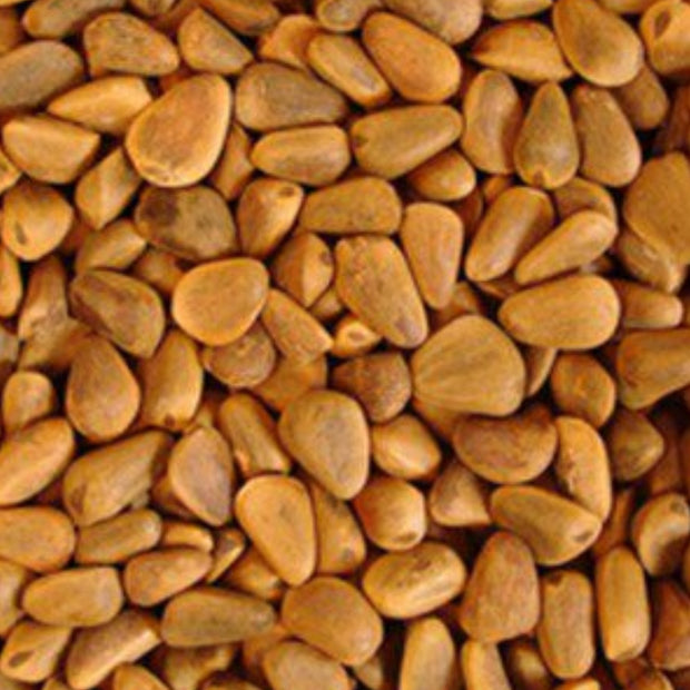 4 the Birds Premium Pinenuts