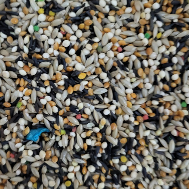 4 the Birds Premium Finch