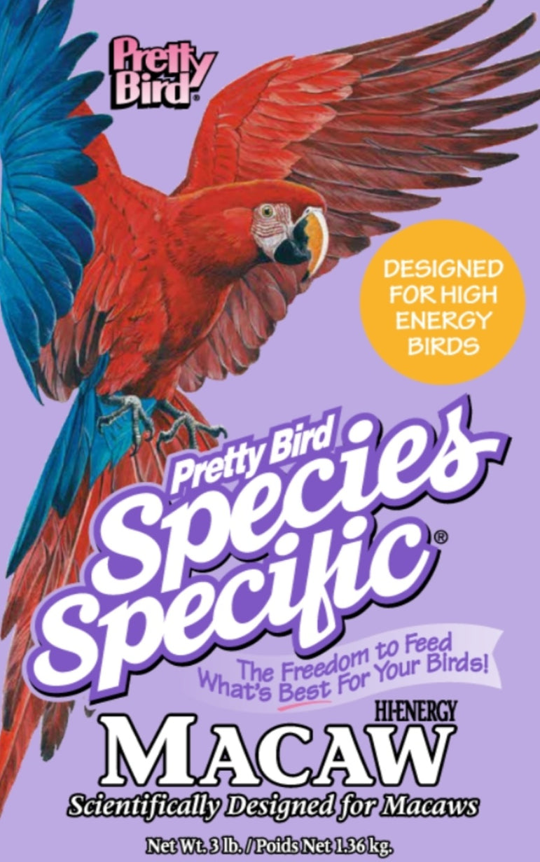 Pretty Bird Species Select Macaw