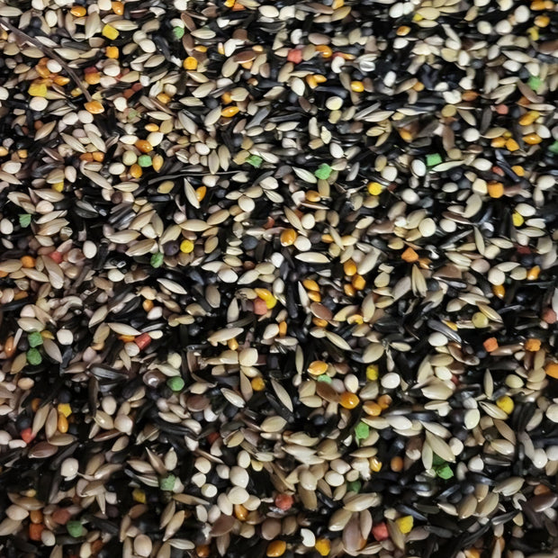 4 the Birds Premium Canary