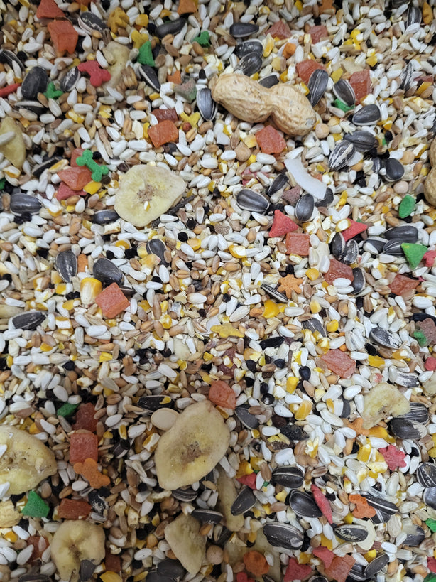 4 the Birds Large Hookbill with Sunflower