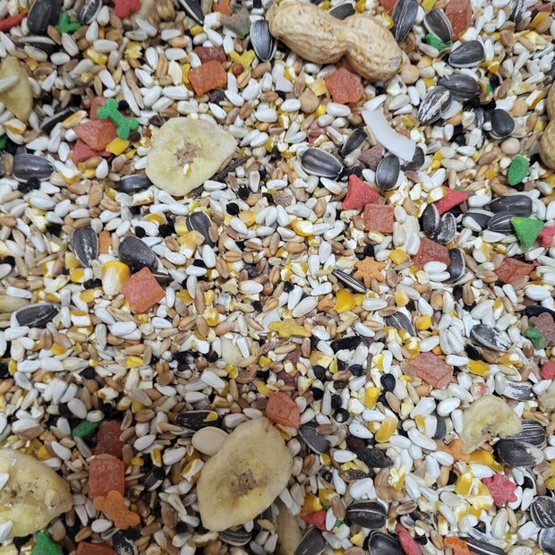 4 the Birds Large Hookbill with Sunflower